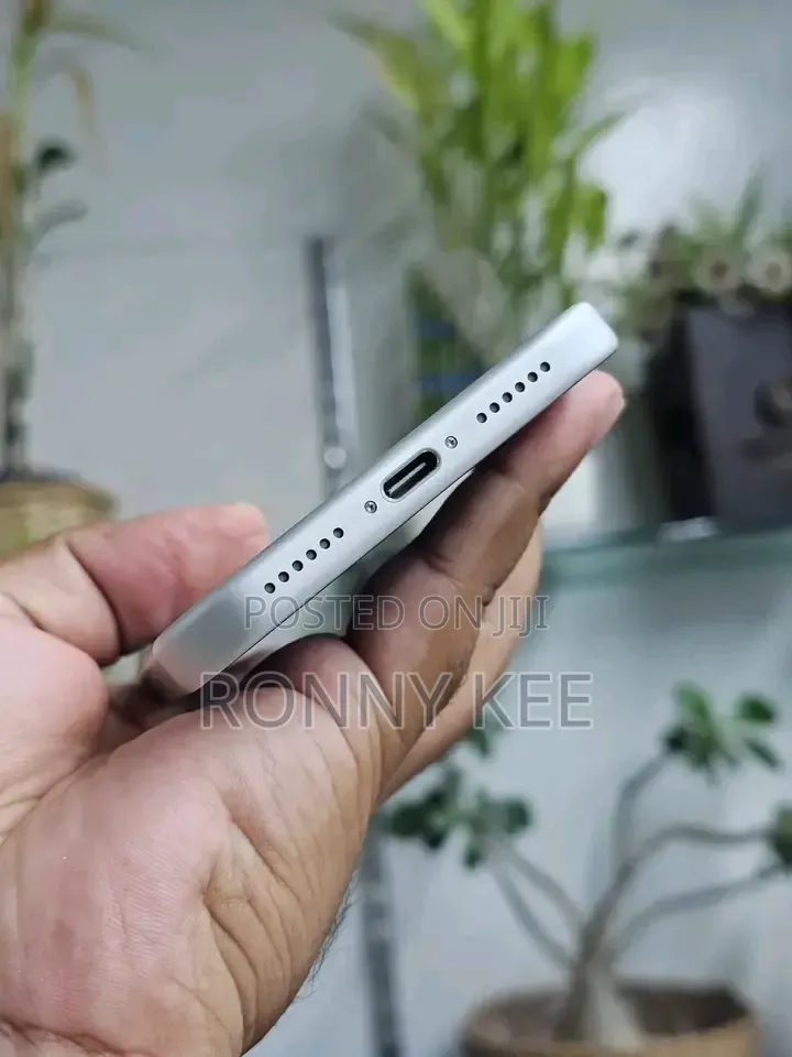 New Apple iPhone 17 Pro Max 256 GB Silver