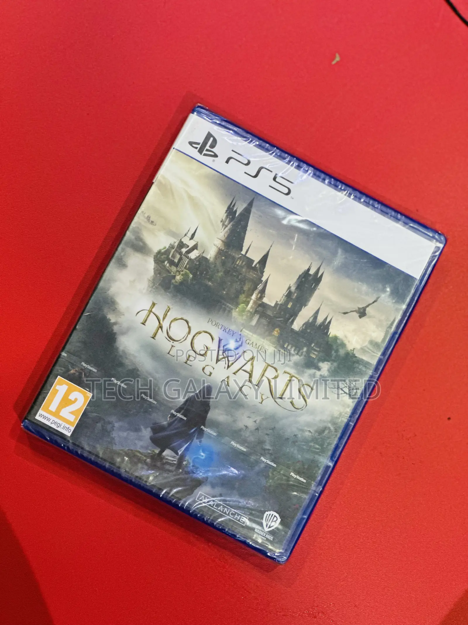 Hogwarts Legacy PS5
