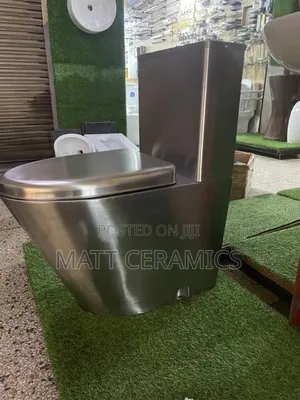 Stainless Toilet Seat