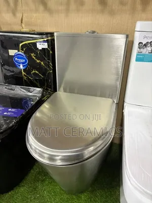 Stainless Toilet Seat