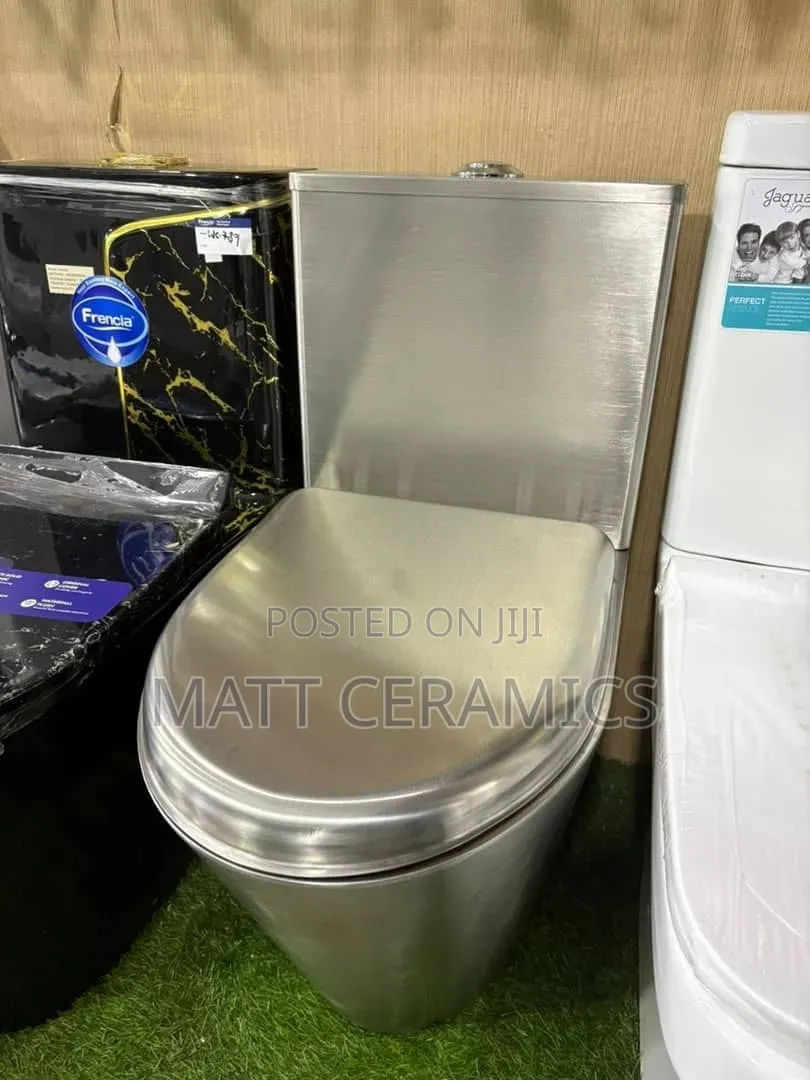 Stainless Toilet Seat