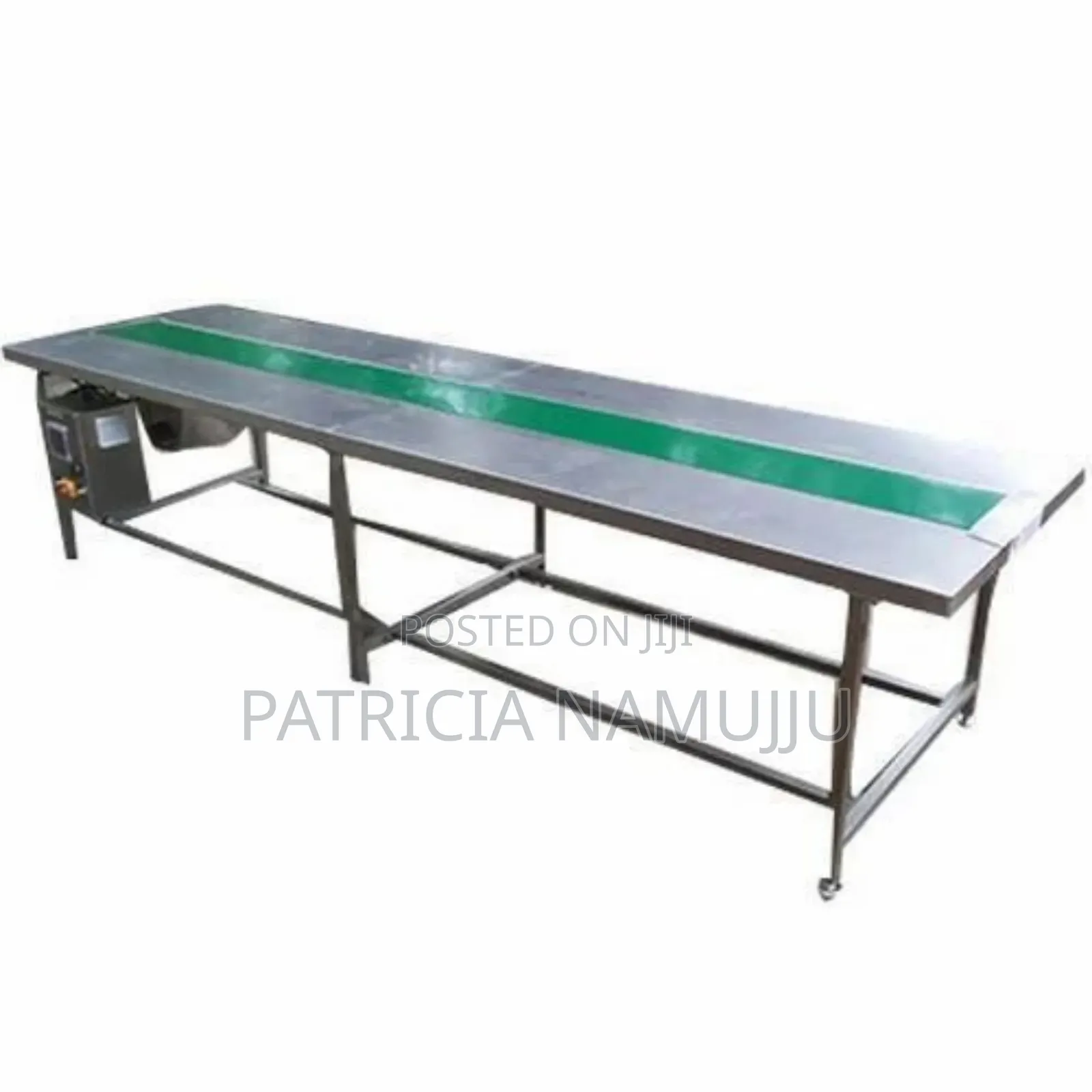 Stainless Steel Conveyor