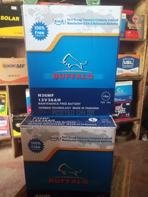 N36 MF Buffalo Battery