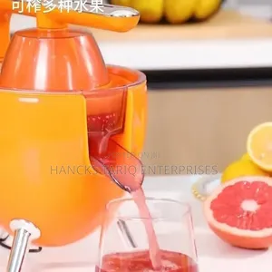 Electric Citrus Juicer Press With Lever Arm