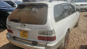 Toyota Corolla 1998 White