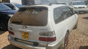 Toyota Corolla 1998 White
