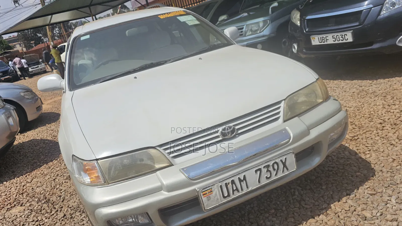 Toyota Corolla 1998 White