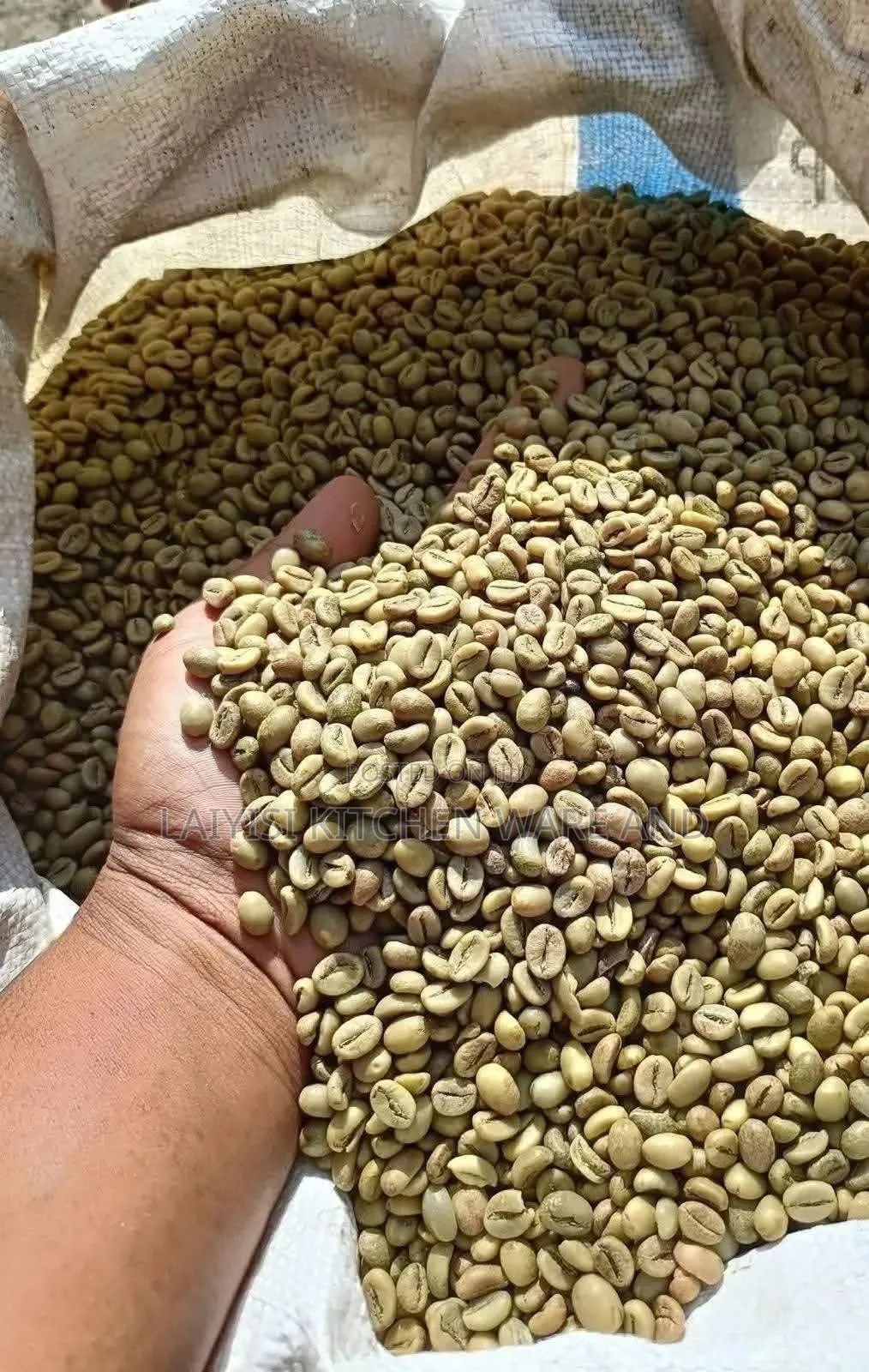 1KG Premium Dry Arabica Coffee Beans Rich,Aromatic Ready for Grinding