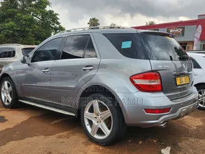 Mercedes-Benz M Class 2010 Silver