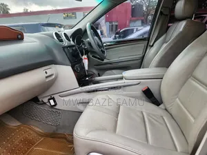 Mercedes-Benz M Class 2010 Silver