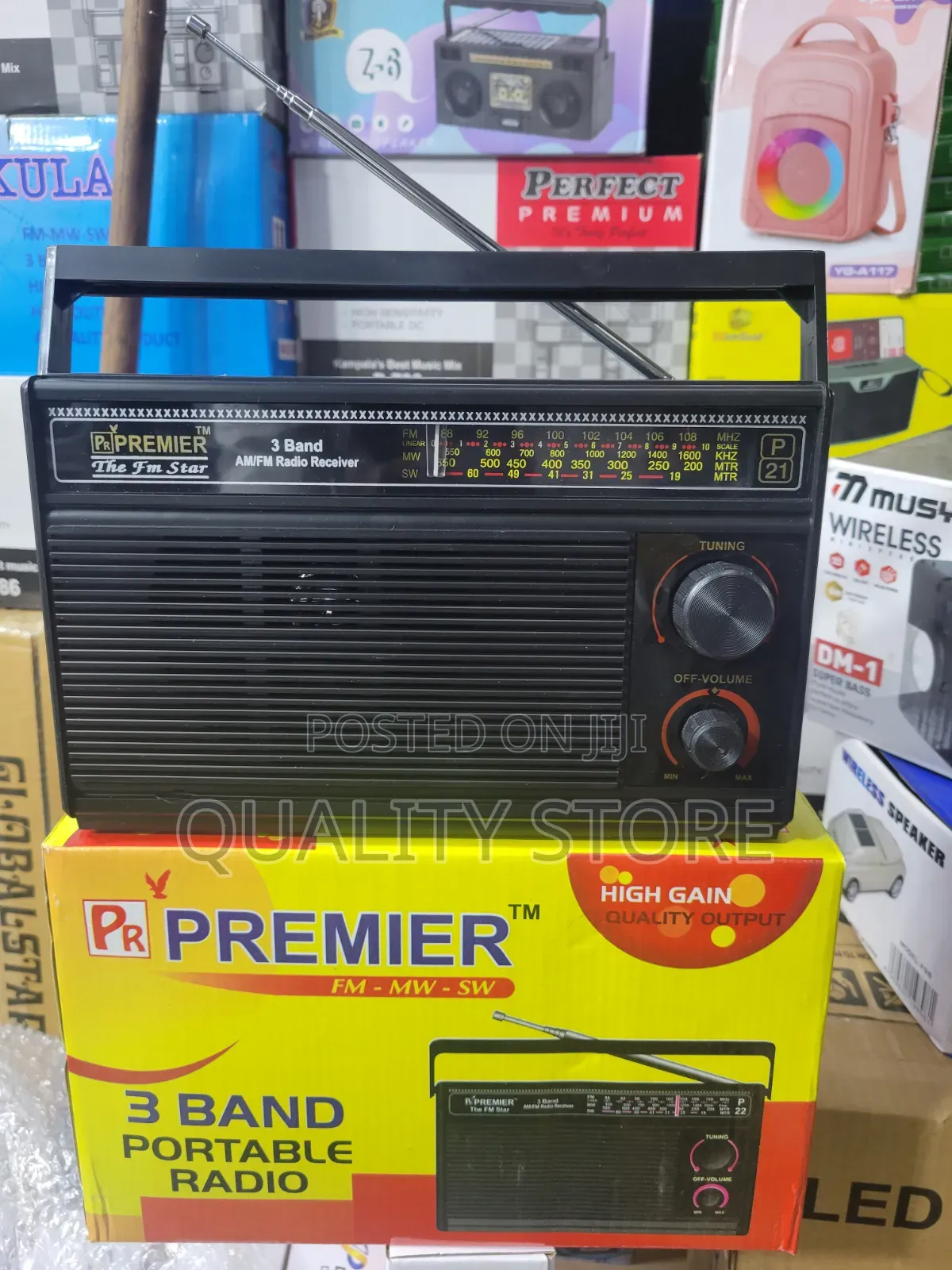 Premier 3 Band Portable Radio