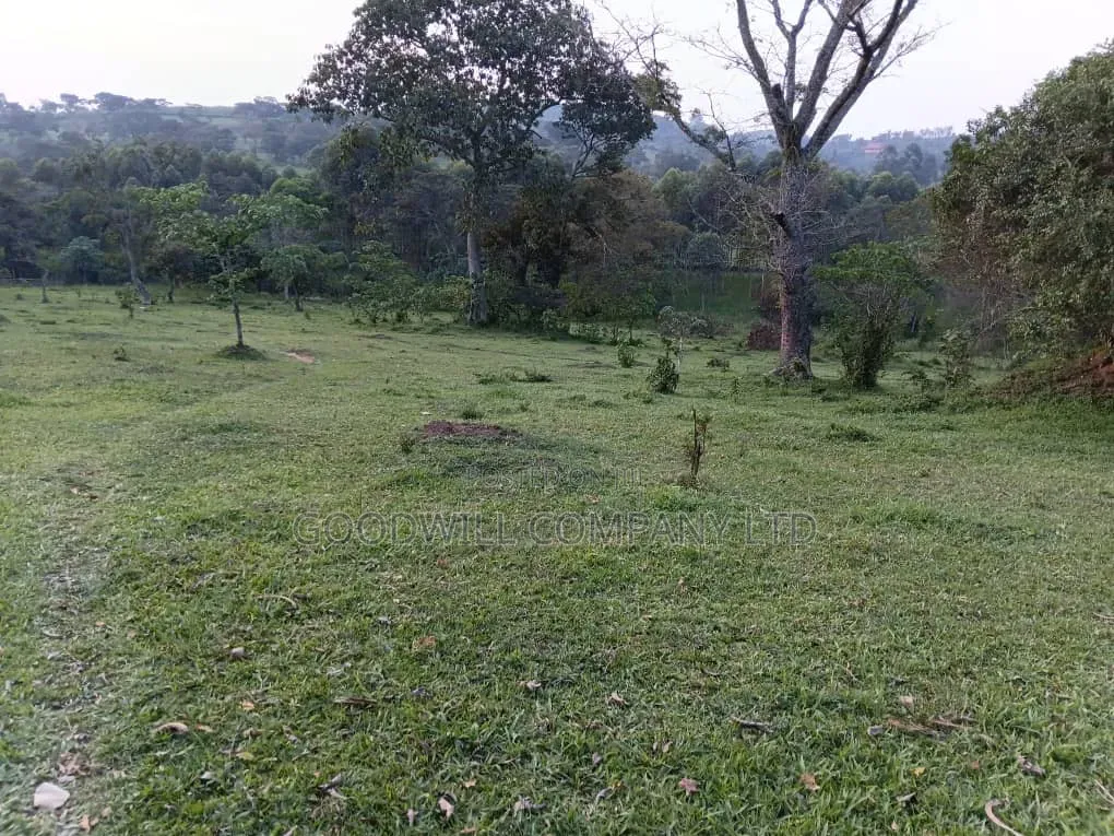 20 Acres of Farm Land for Sale in Bisheshe Ibanda Municipality