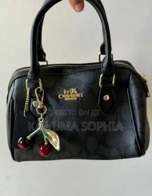 Classy Women's Coach Hand Bags