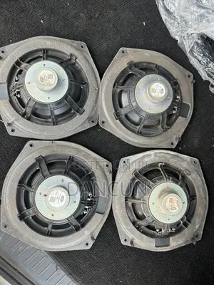 Meridian Car Door Speakers