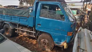 Isuzu Dump Trucks 1989 Blue
