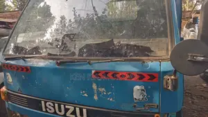 Isuzu Dump Trucks 1989 Blue