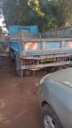 Isuzu Dump Trucks 1989 Blue