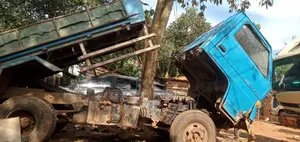 Isuzu Dump Trucks 1989 Blue