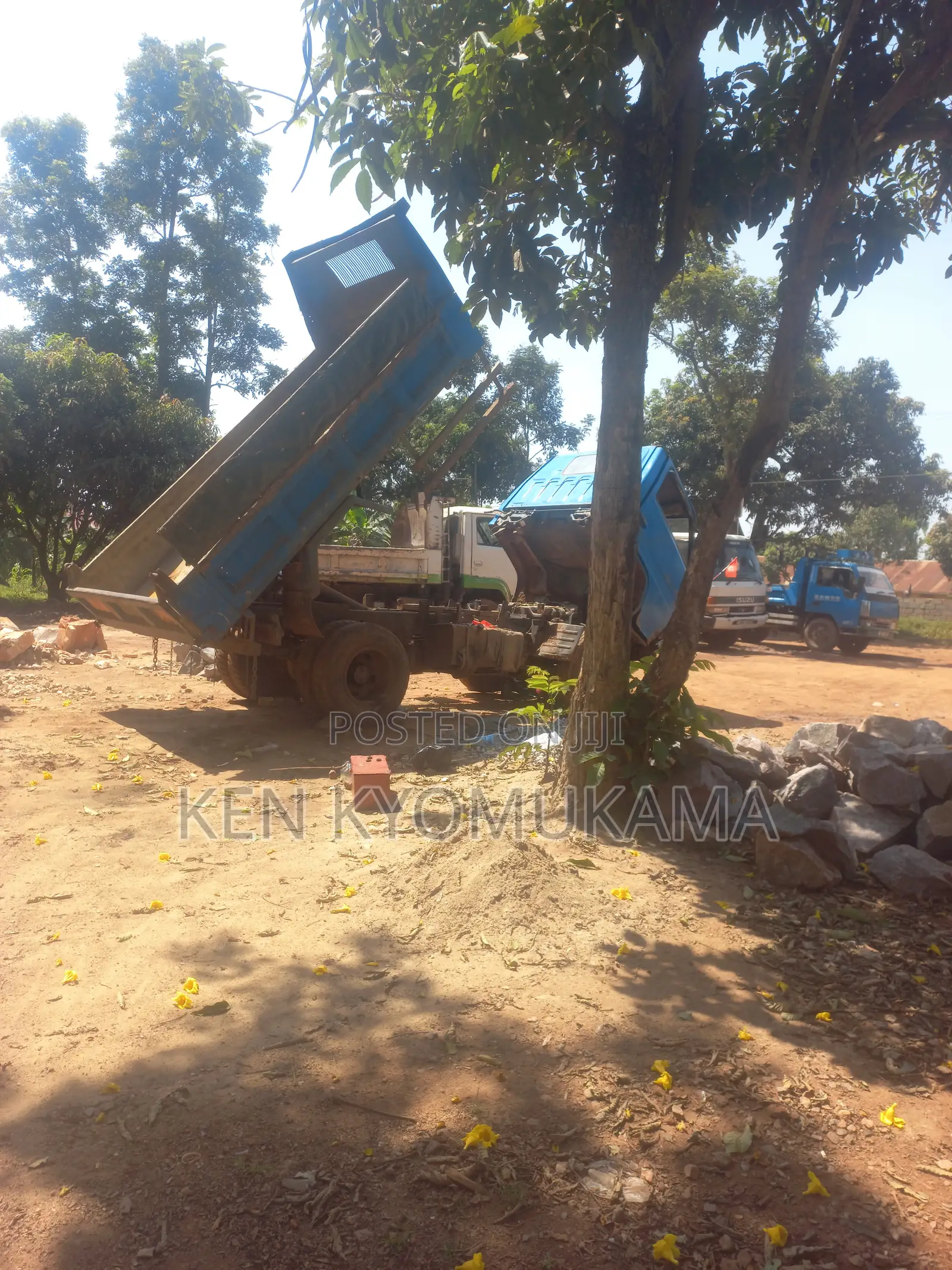 Isuzu Dump Trucks 1989 Blue