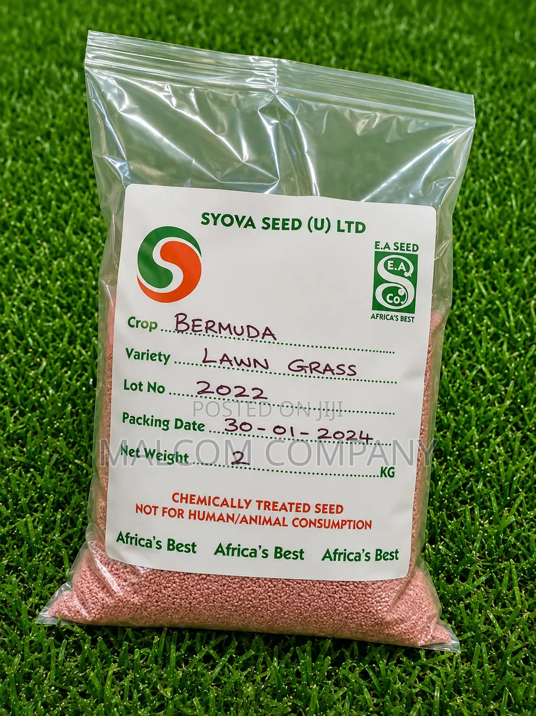 Bermuda Grass Seeds 1kg