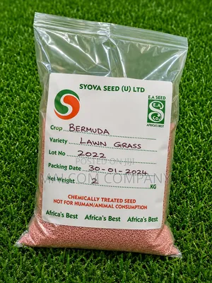 Bermuda Grass Seeds 1kg