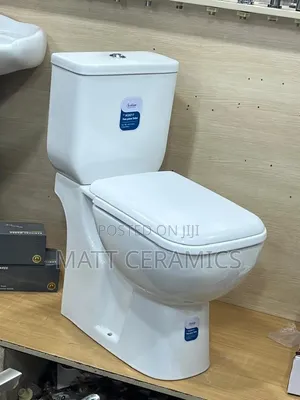 Fancy Toilet Seat
