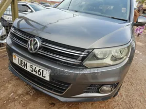 Volkswagen Tiguan 2014 Gray
