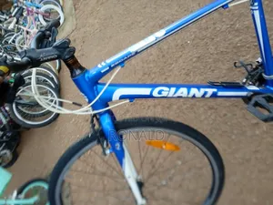 Sports Bike Giant Escape Brand Size 28