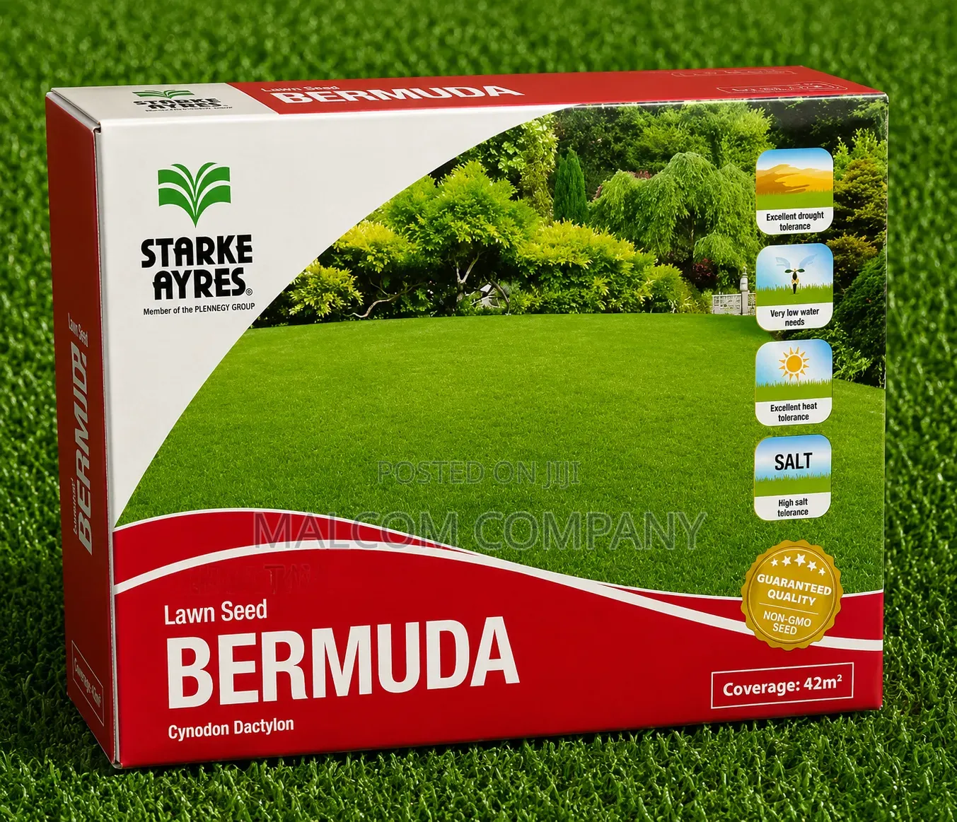 Bermuda Lawn Grass Seeds 500g/42m2