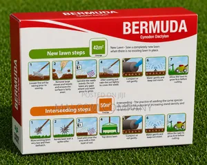 Bermuda Lawn Grass Seeds 500g/42m2