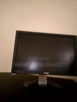 Computer Monitor