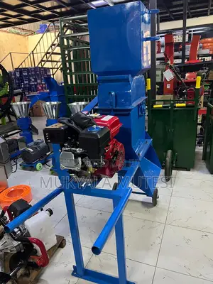 BSF Feeds Grinder/ Market Wastes Grinder