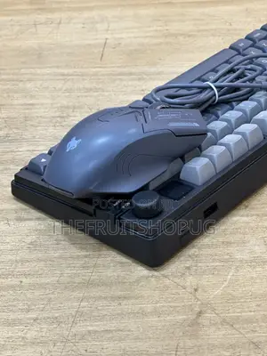Keyboard and Mouse Combo