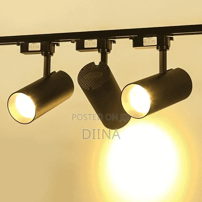Track Light