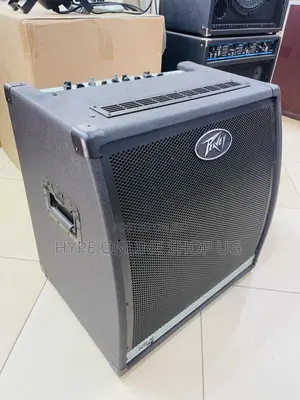 Peavy Brandnew Solid Guitar Combo Speaker