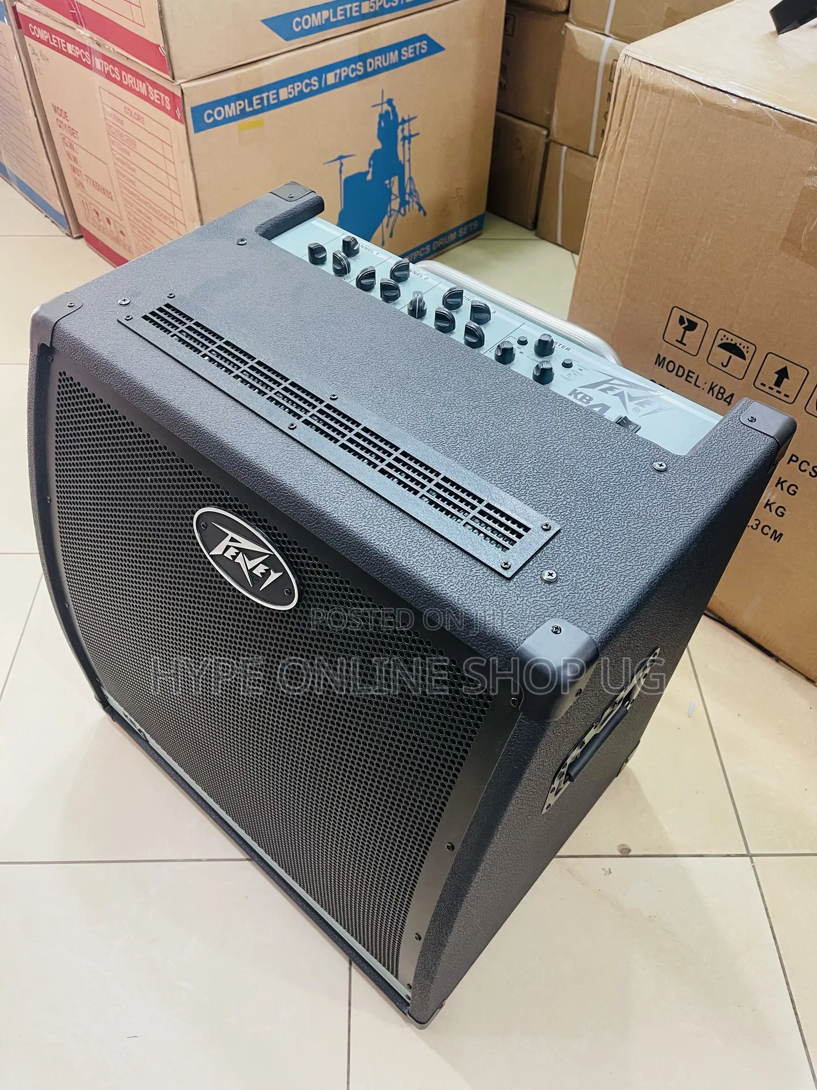 Peavy Brandnew Solid Guitar Combo Speaker