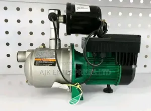 Original Stainless Steel Pumps All Sizes