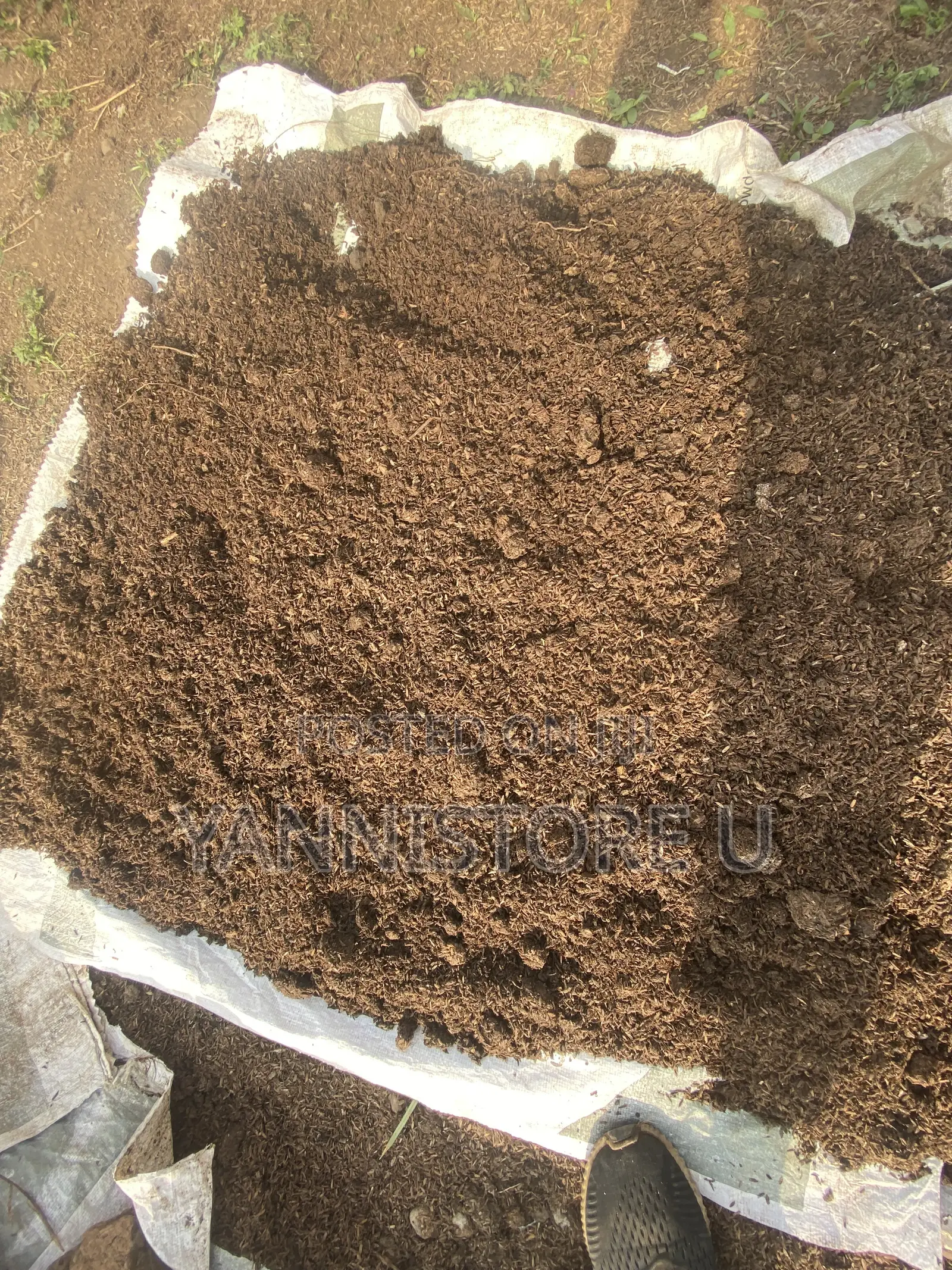 Compost Fertilizer