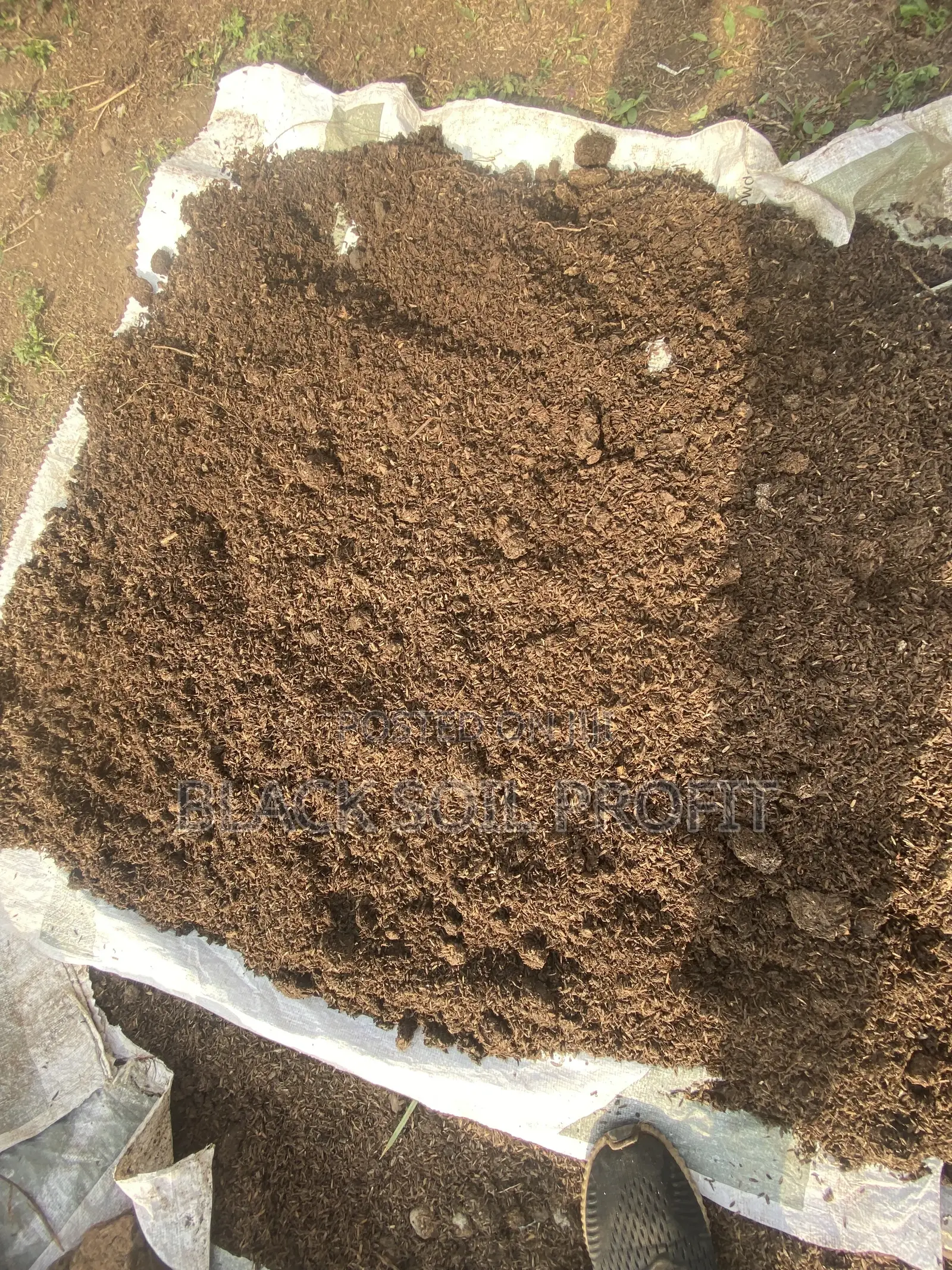 Compost Fertilizer