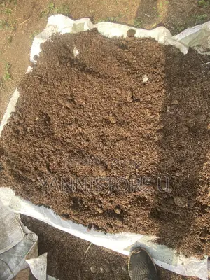 Compost Fertilizer