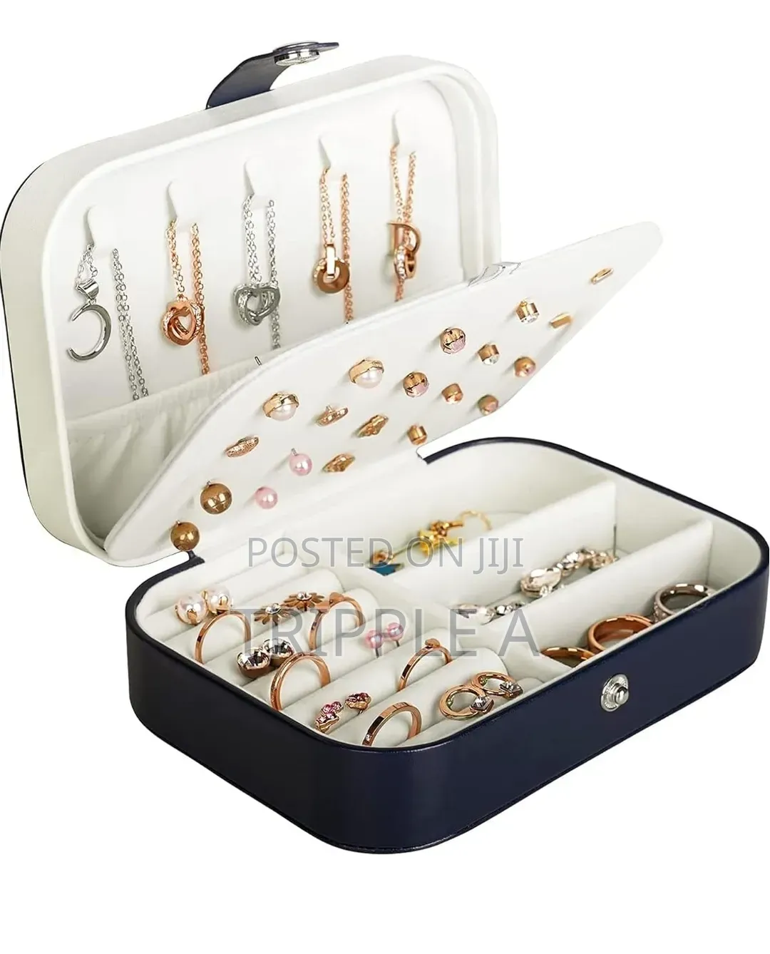 Fancy Travel Jewelry Box