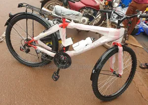 Adult Bicycle With Career and Charger System Orange