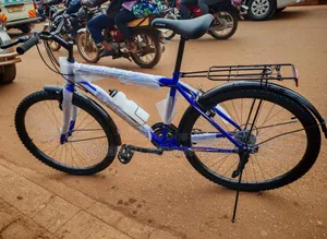 Skymark Adult Bicycle Blue
