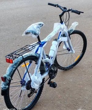 Skymark Adult Bicycle With Carrier Blue