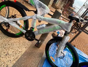 Crane Adult Bicycle Green