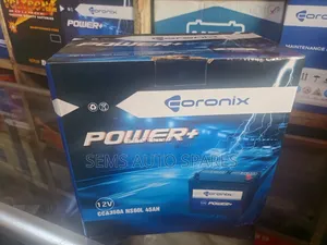 Ns60 45ah Battery Coronix