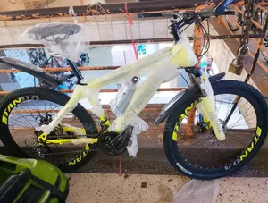 Tanda Adult Bicycle Green