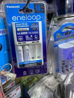 Basic Charger for Dry Cells