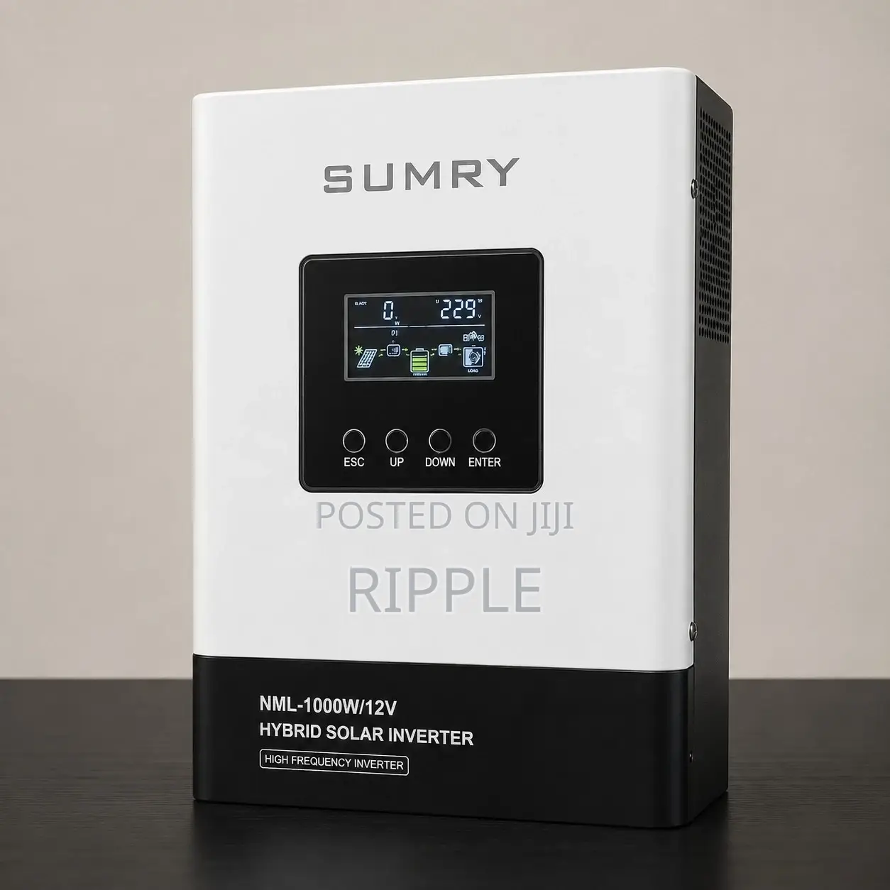 1000W SUMRY Hybrid Pure Sine Wave Solar Inverter 12V
