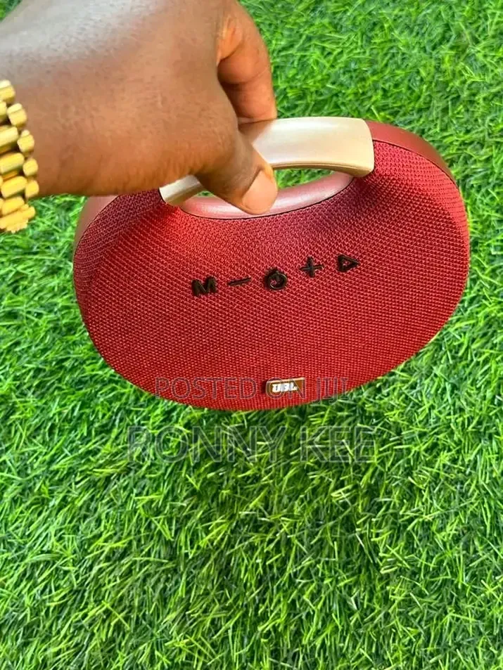 JBL M1 Portable Thumping Bass Speaker With a Handle